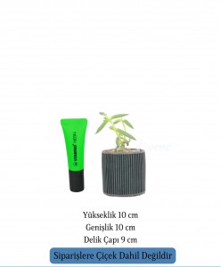 Mini Çiçek Saksı Küçük Sukulent Siyah Kaktüs Saksısı Düz İnce Çizgili Model